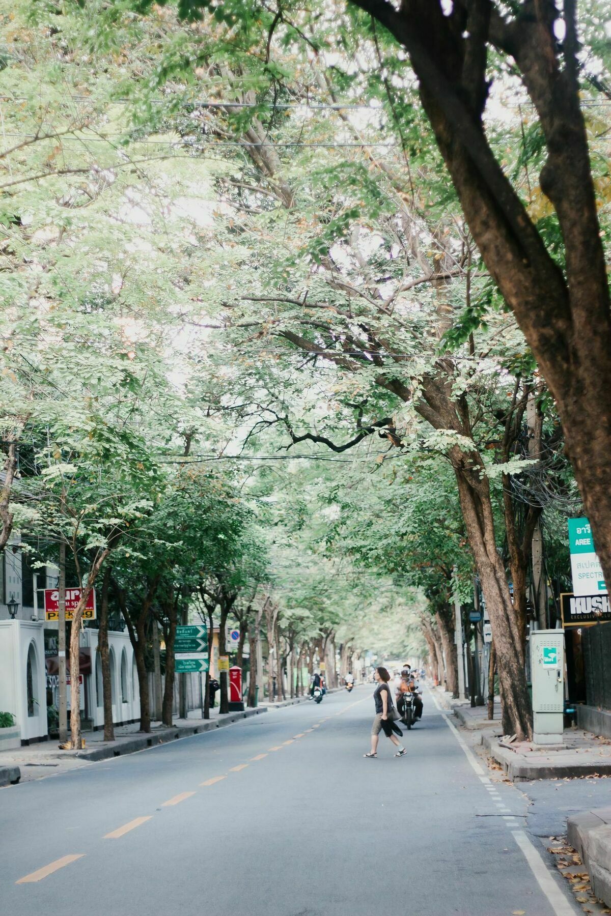 Weeping Willow Sukhumvit 26 Albergue Bangkok Exterior foto